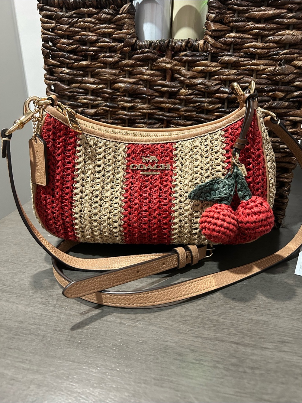 Coach Teri Shoulder bag & crossbody
